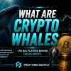 What Are Crypto Whales and How Do They Impact the Market?